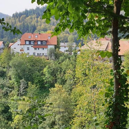 Ferienwohnung Auf Dem Bueckle Kleines Wiesental Экстерьер фото