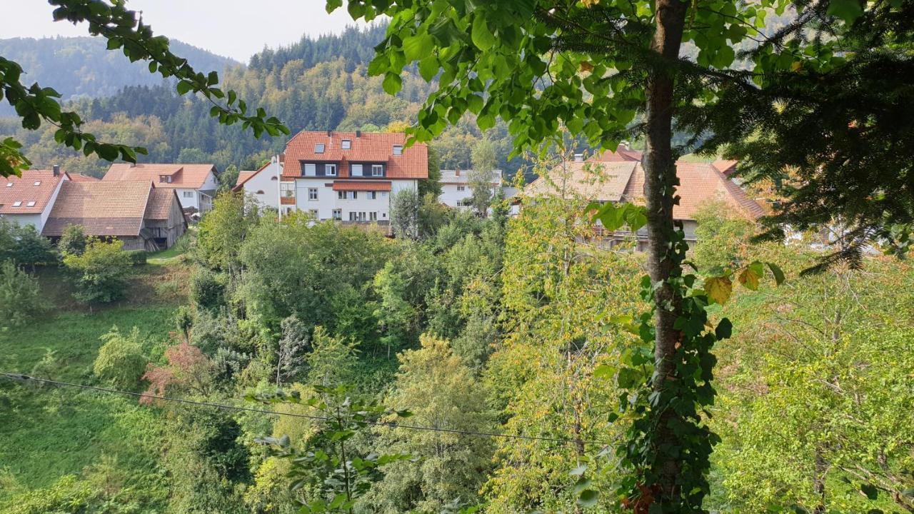 Ferienwohnung Auf Dem Bueckle Kleines Wiesental Экстерьер фото